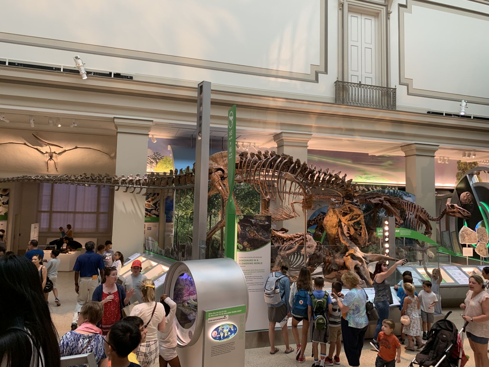 Montanas T-Rex goes on display in Washington D.C.